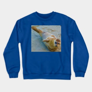 Seal of approval Crewneck Sweatshirt